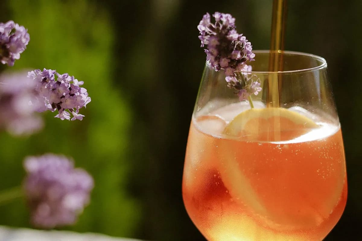 Verre de spritz à la grenade glacé, garni de grains de grenade, sur une table en extérieur
